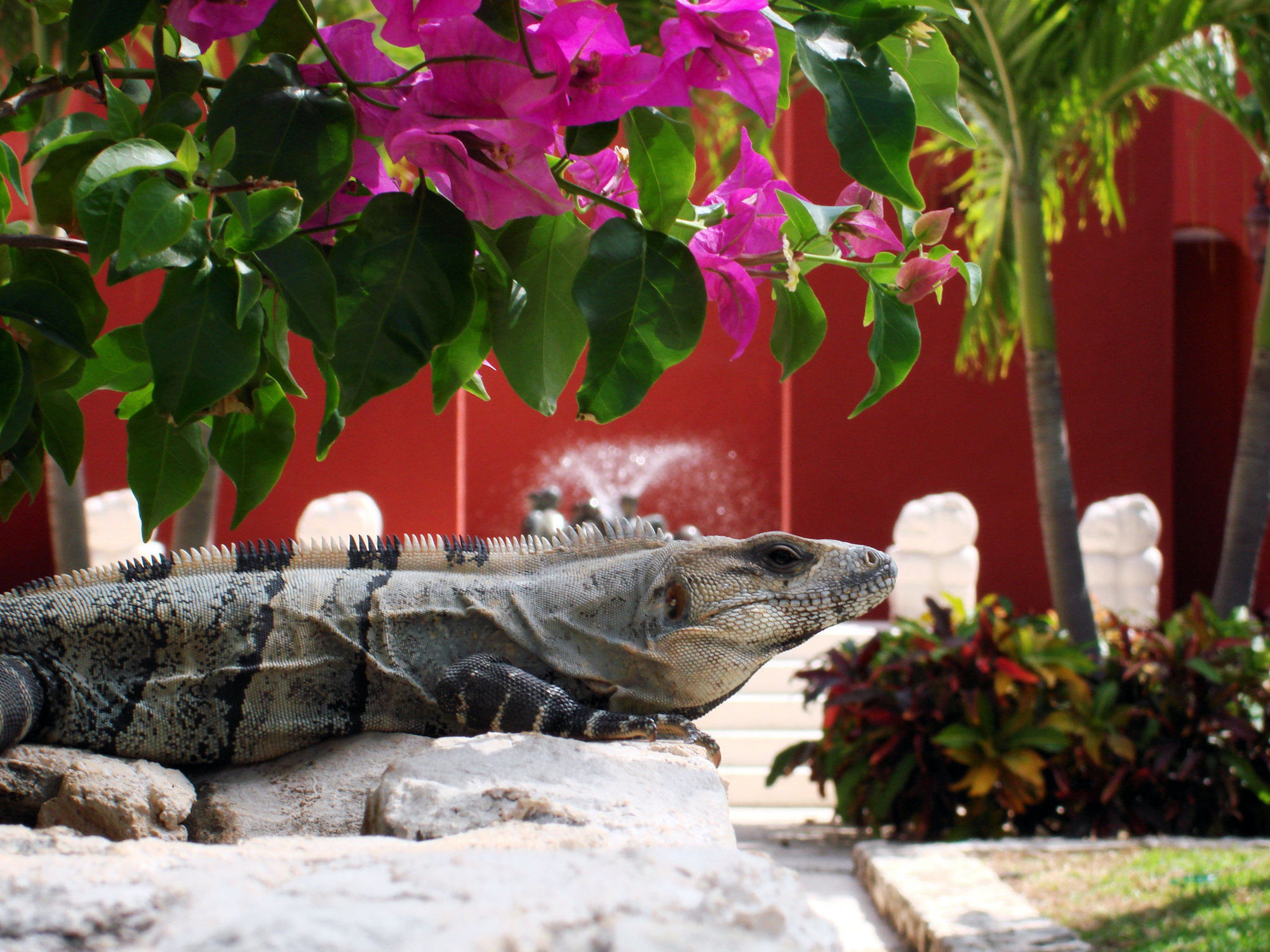 Paraiso De La Bonita Adult All-Inclusive, A Luxury Collection Resort Puerto Morelos Voorzieningen foto